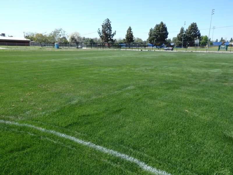 Bunche Middle School Play Fields