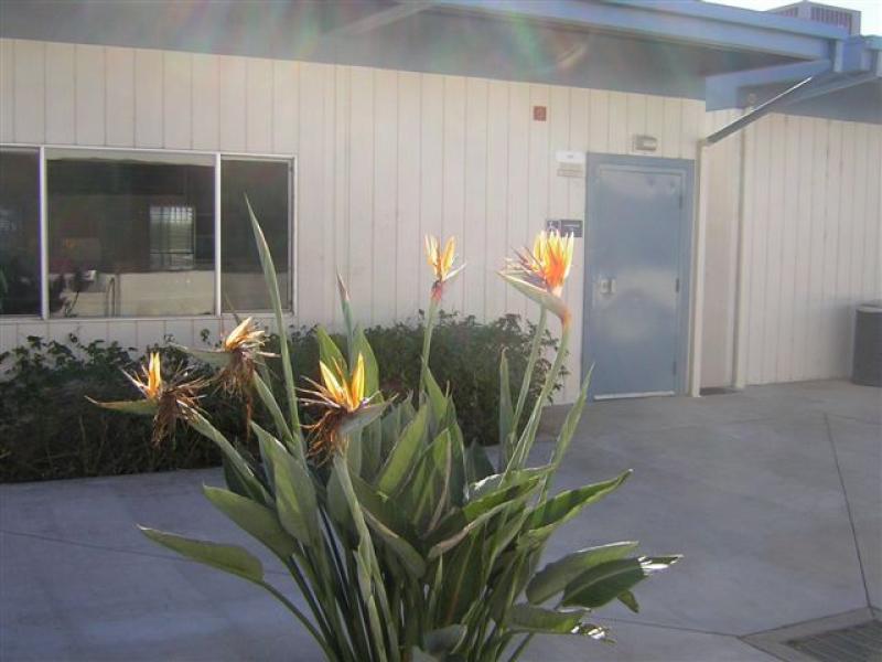 Laguna Vista Modular Classroom Wing